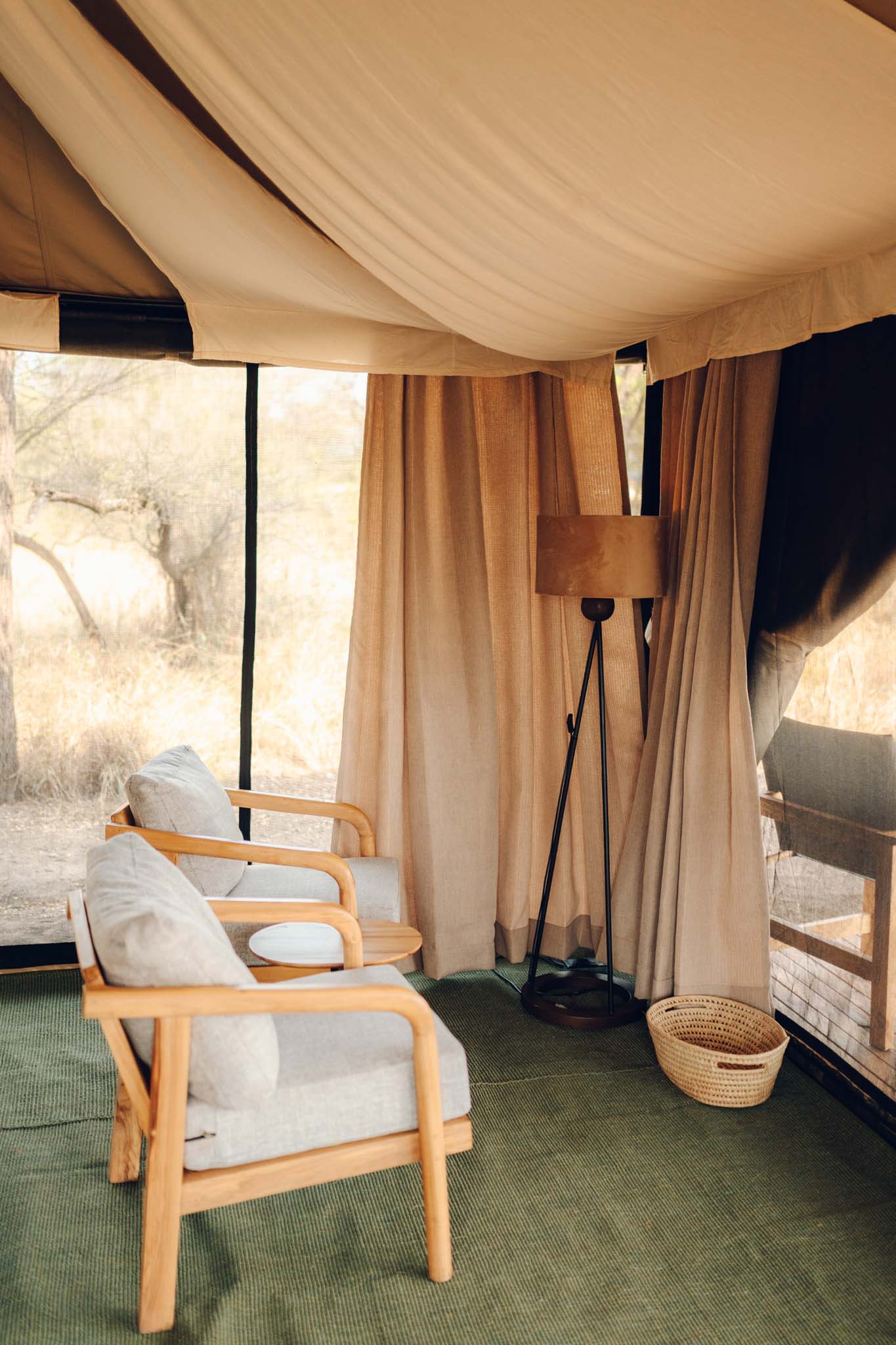 safari view luxury camp serengeti